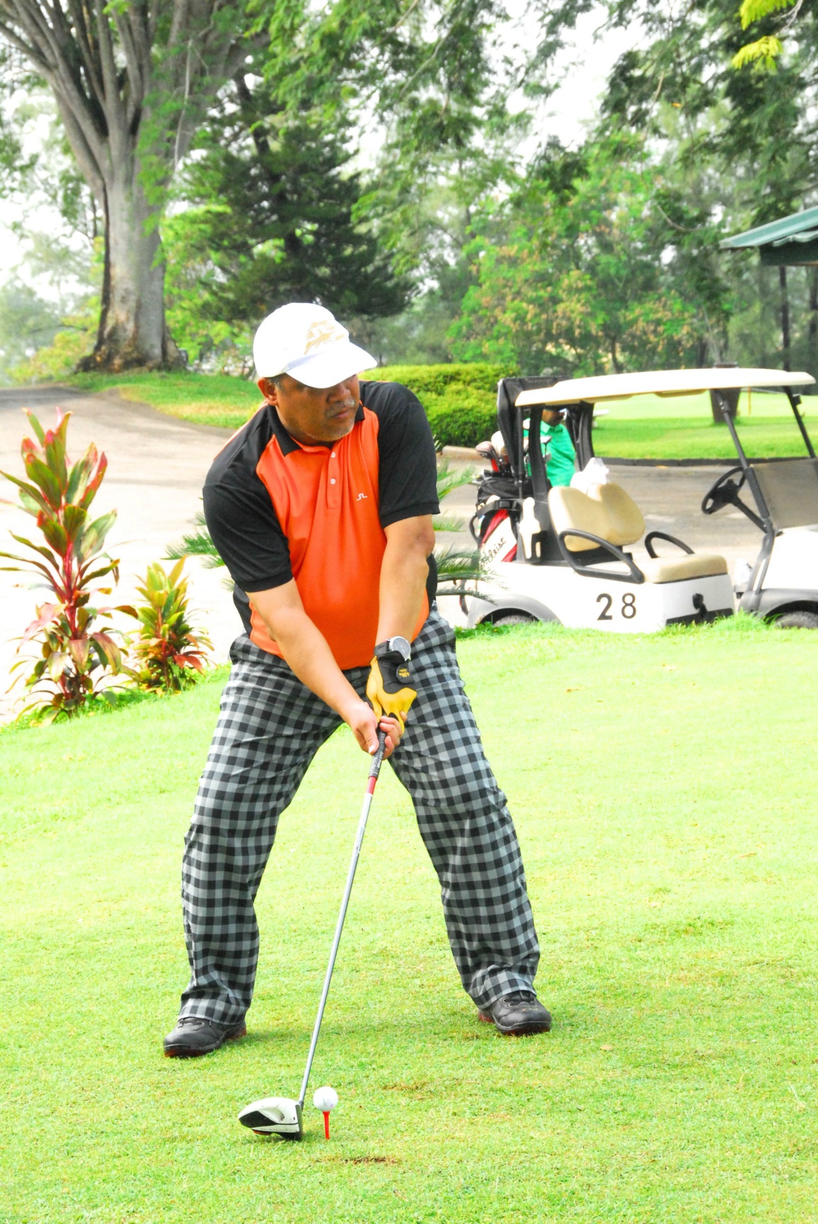 PRO15 157 GOLF DSC 0342.JPG